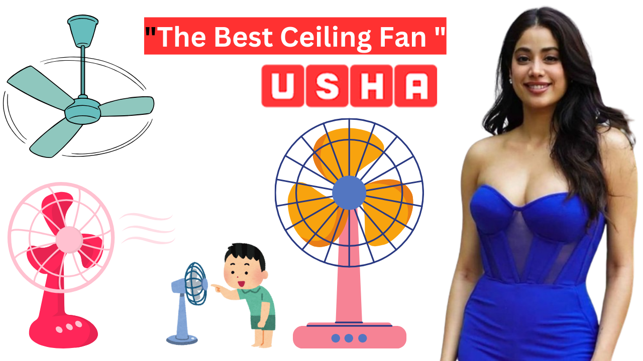 Read more about the article Best-Selling Celling Fan of 2024: USHA’s Reign of Cooling Comfort