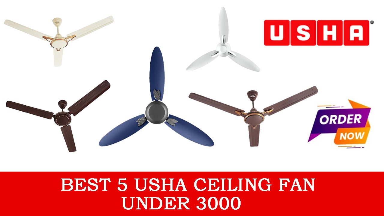 You are currently viewing Blow Away the Heat : Best 5 Usha Ceiling Fan Under 3000